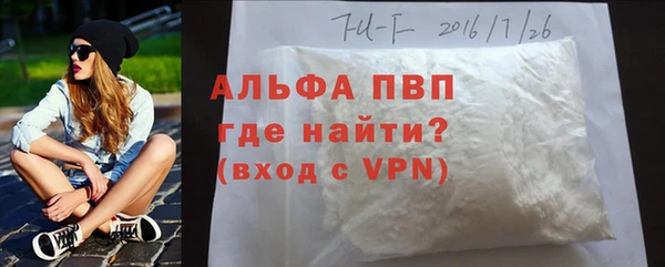спайс Богданович
