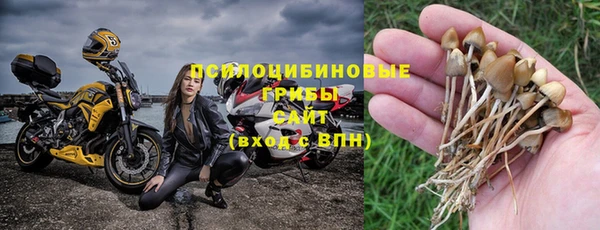 амфетамин Белокуриха