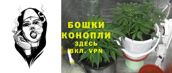 соль ск Богородск